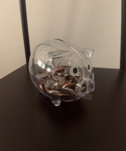 Windy City Novelties Small Educational Kids Clear Plastic Piggy Banks 42 61JrBIkMG4L