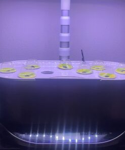 Aerogarden Salad Greens Seed Pod Kit with Red, Green, Romaine and Butter Leaf Lettuce, Liquid Plant Food and Growing Guide (9-Pod) 9-pod 24 61JwHHwD2JL