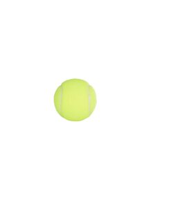 Penn Championship Tennis Balls - Extra Duty Felt Pressurized - 4 Cans, 12 Balls 17 61K0D7iPEoL