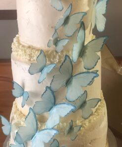 McCormick Culinary Clear Imitation Vanilla Extract, 32 fl oz - One 32 Fluid Ounce Bottle of Clear Vanilla Flavoring for Baking, Perfect in Baked Goods, Frostings, Custards and Desserts 32 Fl Oz (Pack of 1) 34 61K2NPYc EL