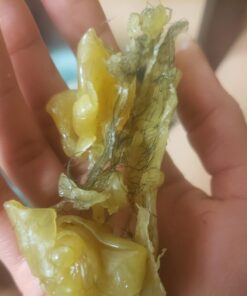 Gigi Brazilian Waxing Kit, 14 Ounce Brazilian Essentials 49 61K8DqcJ1oL