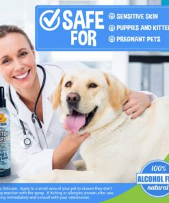 Bodhi Dog Anti Itch Spray | Natural Soothing Relief for Dry, Itchy, Bitten or Allergy Damaged Skin Treatment | Anti Itch Spray for Dogs & Cats | Made in USA (Oatmeal, 8 oz) 8oz 21 61KJz9mlHCL