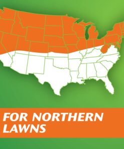 Scotts Turf Builder Grass Seed Fall Overseeding Mix, Thickens & Strengthen to Help Prevent Future Weeds, 15 lbs. 15 lb. 26 61KMxULM TL