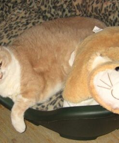 PetZoom Self Cleaning Grooming Brush with Bonus Pet Trimmer 26 61KOOF0o50L