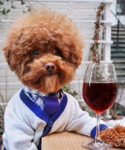 Lungs Lungs 25 61KVBFNfBBL