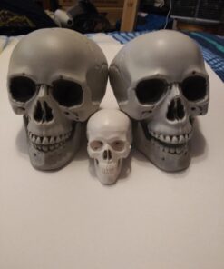 Prextex 6.5" Plastic Skull Head Halloween Decor | Realistic Life-Size Skeleton Skull Halloween & Day of The Dead Decoration | Scary Human Skull Replicas Skeleton Decor | Head Skulls Decor 29 61KXW9yNCXL 1