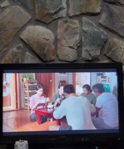 Mini DisplayPort to HDMI Cable,iVANKY Mini DP (Thunderbolt) to HDMI Cable 6.6ft,Nylon Braided,Aluminum Shell,Optimal Chip Solution for MacBook Air/Pro,Surface Pro/Dock,Monitor,Projector and More-1080P 1-Pack 6.6 FT 51 61KbdMeXndL