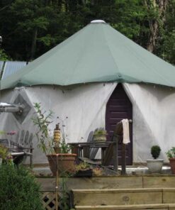 IOSSO Mold & Mildew Stain Remover - Concentrated Makes 3 Gallons 17 61KqC8Xz 9L