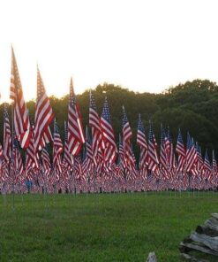 Marine Corps Flag by USA Flag Co. is 100% American Made: The BEST 3x5 Outdoor USMC Flag, Made in the USA - For Prime Members and Amazon A to Z Guarantee. (3 by 5 foot) 31 61KzrzBWUUL