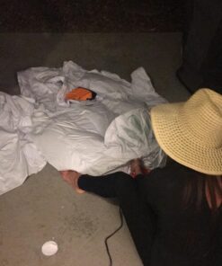 GoFloats Rapid Inflation Electric Air Pump (AC 110/120V) with Tote Bag and Raft Repair Kit 22 61L6vwaLFPL