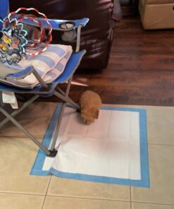 Ultra Absorbent Odor Control Training Pads For Dogs Leak-proof Quick Dry Gel – Extra Large 30 x 28 Pee Pads - Fresh Scented - 50 Count, Pack of 1 XL 30" x 28" - 50 Count, Pack of 1 34 61LBFRGmKCL