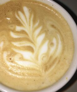 Rancilio Silvia Espresso Machinet,0.3 liters, with Iron Frame and Stainless Steel Side Panels, 11.4 by 13.4-Inch 43 61LEGSwgpgL