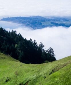 OM SYSTEM OLYMPUS M.Zuiko Digital 14-42mm F3.5-5.6 EZ Black For Micro Four Thirds System Camera, Compact 3x zoom Lens 31 61LHRsFWVgL