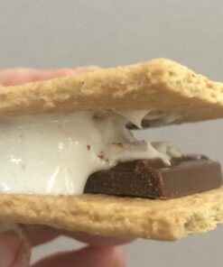 Sterno Smores Maker Junior, Table top Smores Roaster - Designed for Safe, Cord Free Indoor or Outdoor Fun, Ideal for Kids, Parties, Fun Housewarming Gifts and More Black 38 61LI2IDjsL