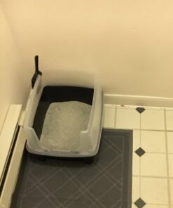 IRIS USA Open-Top Cat Litter Box with Shield and Scoop, Black Regular 51 61LTMN1958L