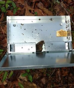 Victor M310S Tin Cat Multi-Catch Live Mouse Trap - Indoor and Outdoor Humane Catch and Release 1 Trap 25 61LVwaAJxL