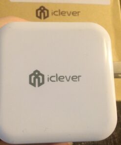iClever BoostCube 2nd Generation 24W Dual USB Wall Charger with SmartID Technology, Foldable Plug, Travel Power Adapter for iPhone Xs/XS Max/XR/X/8 Plus/8/7 Plus/7/6S/6 Plus, iPad Pro Air/Mini and Other Tablet 1 Pack 40 61Lcx986ETL