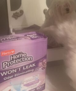Hartz Home Protection Lavender Scented Dog Pads, 50 count, Super Absorbent & Won't Leak, Odor Eliminating 21 x 21 (50 count) 30 61LkDTaTkL 2