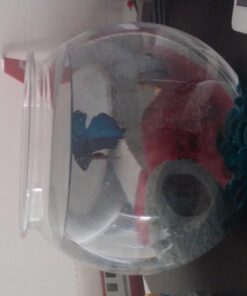 Koller Products Panaview 1-Gallon Globe Fish Bowl (BL10RFFP) 29 61LkuFDKFOL