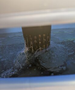 Canna 250 ml Rhizotonic Rooting Stimulator 9321025 11 61Lqp8ILCKL