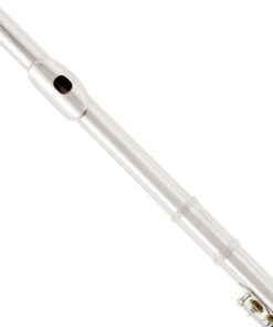 Mendini by Cecilio Premium Grade Silver Closed Hole C Flute with Stand, Book, Deluxe Case and Warranty, MFE-JS+SD+PB 10 61Lv247atmL