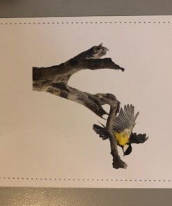 Preposition Flash Cards | 7 Total Prepositions 49 Picture Cards for Speech Therapy - for Teachers, Parents, ESL Teaching Materials and Speech Therapy Materials with 5 Sequencing Learning Games Prepositions Vol 1 22 61M0wWK2L