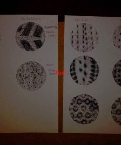 Neenah Exact Vellum Bristol, 8.5" x 11", 67 lb/147 gsm, White, 94 Brightness, 250 Sheets (80211) 250 Count (Pack of 1) 53 61M1KB2JbXL