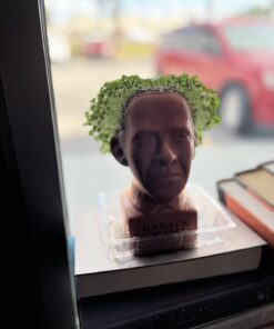 Chia Pet Determined Pose Obama with Seed Pack, Decorative Pottery Planter, Easy to Do and Fun to Grow, Novelty Gift, Perfect for Any Occasion 7 61M5xKTLQZL