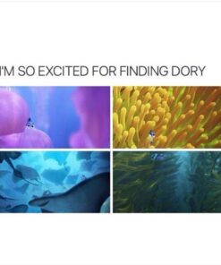 Finding Nemo DVD May 7, 2013 3 61M6 IDVMFL