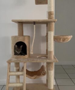 Go Pet Club Classic Cat Tree, Faux Fur Finish, Sisal Rope Scratcher, 62"H, Beige 53 61MFCqS1JVL