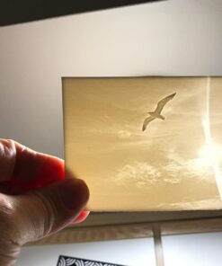 Creality Ender 3 Pro 3D Printer with Removable Magnetic Build Surface and Branded Power Supply, New Y-axis and Upgraded Extruder Design Print Size 8.6 x 8.6X 9.8inch Ender-3 Pro 60 61MMq6AgBOL