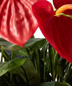 Nearly Natural 6678 Mixed Greens and Anthurium with Vase Decorative Silk Plant, Green 25 61MOspAaOgL