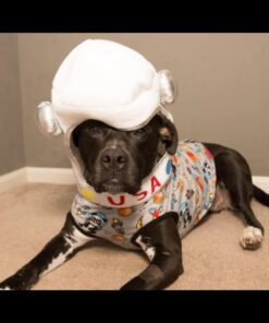 Astronaut Helmet (fits Both Kids and Pets) Space Costume and Play Accessory 10 61MVDfrkDKL