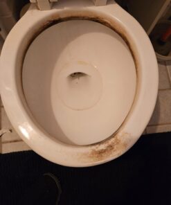 Powerstone Pumice Stone Toilet Bowl Cleaner with Handle (1-pack) - A Solution for Hard Water Stains on Toilets, Grills, Tiles, Grout & Pools Pack of 1 50 61MWaRtBdQL