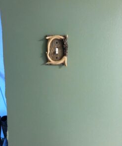 Rivers Edge Products Standard Light Switch Cover Plate, Single Toggle Switch, Poly-Resin Wall Plate Cover, Hand-Painted Decorative Wall Switch Plate, Screws Included, Antler Switch Single Antler 15 61MX65whkzL