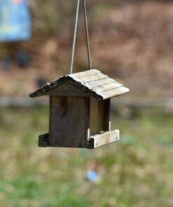 Nikon 70-300 mm f/4-5.6G Zoom Lens with Auto Focus for Nikon DSLR Cameras 41 61MkKl1mqsL