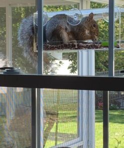 Yardly Noticed Window Bird Feeder with Removable Tray, Drain Holes, Extended Perch, 4 Suction Cups - Crystal Clear See Through Design 2017 - See Wild Birds Up Close, Great for Kids & Cats Large 36 61Mpr11odqL