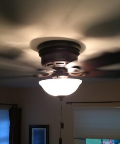 Hunter Fan Company, 51023, 42 inch Conroy Onyx Bengal Low Profile Ceiling Fan with LED Light Kit and Pull Chain Onyx Bengal finish 35 61Mr2bjEo3L