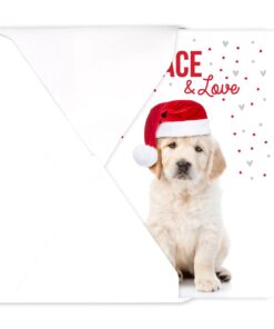 Canopy Street Labrador Love Holiday Card Pack / 25 Cards And Envelopes Pack/Festive Santa Hat Puppy Design With Greeting Inside/Dog Christmas And New Year Cards 11 61MroZc34L