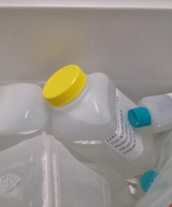 Avery Waterproof Shipping Labels with Sure Feed & TrueBlock 2" x 4", 100 White Laser Labels (15513) 100 labels 12 61MtxqAmH9L