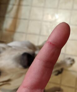 Active Skin Repair Hydrogel - Natural & Non-Toxic First Aid Ointment & Antiseptic Gel for Minor Cuts, Wounds, Scrapes, Rashes, Sunburns, and Other Skin Irritations (Single, 3 oz Gel) 3 Fl Oz (Pack of 1) 40 61N221mFFaL