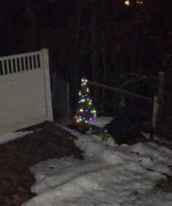 ALOVECO LED String Lights 18ft 50 LED Battery Operated Christmas Lights with Remote 8 Modes Waterproof Globe Starry Fairy Lights for Outdoor Indoor Bedroom Garden Xmas Party(Multicolor) Multicolor (Red, Blue, Green, Yellow) 29 61N5qcbSHqL