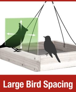 Nature's Way Bird Products CWF3 Cedar Platform Tray Bird Feeder 12" x 12" 12" x 12" 25 61N9n2GlcZL