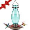 BOLITE 18001 Hummingbird Feeder, Glass Wild Hummingbird Feeders for Outdoors, Retro Edison Bulb Bottle, 25 Ounces, Green, Xmas Gifts for Bird Lovers Retro Bulb 28 61NCCuTXqfL