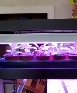 10 Plant Growing Trays (No Drain Holes) - 20" x 10" - Perfect Garden Seed Starter Grow Trays: for Seedlings, Indoor Gardening, Growing Microgreens, Wheatgrass & More - Soil or Hydroponic Black No drain holes 44 61NIjJ lgXL