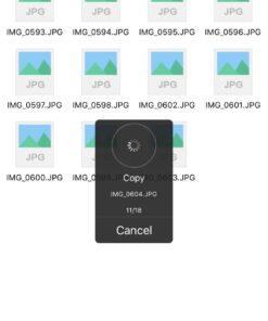 PNY Duo-Link On-The-Go 16GB USB Flash Drive for iPad (P-FDI16GOTGA-GE) 16 61NJfwhlbyL