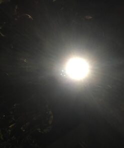 URPOWER Solar Lights Outdoor, Adjustable Solar Spot Lights Outdoor, 2-in-1 Waterproof Solar Landscape Spotlights Wall Light, Dusk-to-Dawn Solar Powered Outdoor Light for Garden, Yard, Pathway (2 Pack) 2 Pack Cool White 61 61NJvlIzHRL