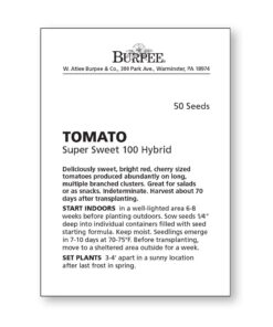 Burpee Super Sweet 100' Hybrid Cherry Tomato, 50 Seeds 21 61NL6H7IUfL