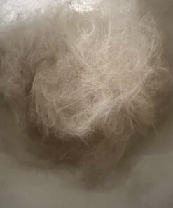 SleekEZ Original Deshedding Grooming Tool for Dogs, Cats & Horses - Undercoat Brush for Short & Long Hair - Painlessly Remove 95% of Loose Hair, Fur & Dirt - Easy to Clean - USA Made - (2.5 inch) 2.5 Inch (Pack of 1) 33 61NNSCMAL L