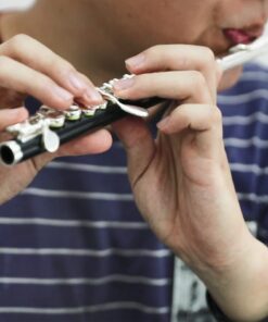 Eastar Piccolo Instrument for Beginners Students, Key of C Piccolo Flute, Resin, with Hard Case, Cleaning Rod, Cloth, Swab and Gloves, 2-Piece, Silver Plated Piccolo, Black, EPC-3S 14 61NRuHmnePL